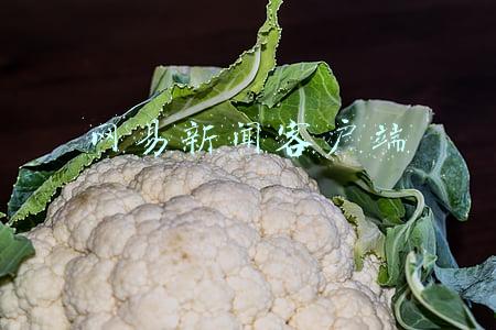 网易新闻网(北京市网信办约谈网易：网易新闻跟评功能暂停一周)