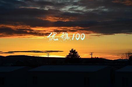 优雅100