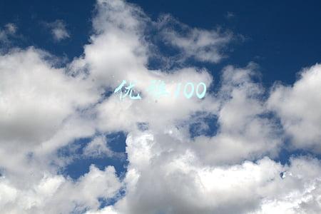 优雅100