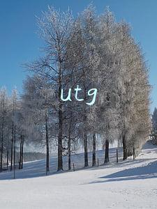 utg