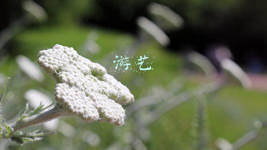 游艺娱乐活动经营范围(泡泡玛特成立乐园管理公司，经营范围含游艺娱乐活动)