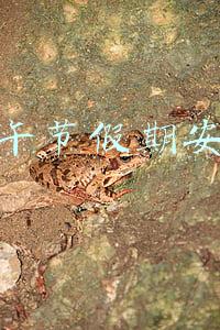 端午节假期安排