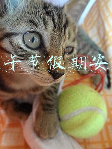 端午节假期安排表(2022年端午节放假安排来了)