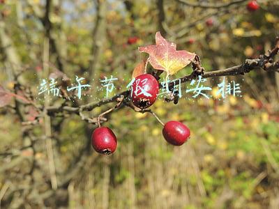 端午节假期安排时间表(端午节放假安排来了)