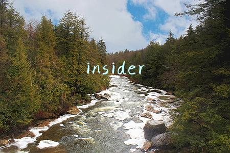 insider韩国意思(韩国留学 | 知道这些你就是insider)