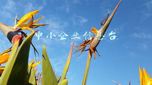 中小企业信息台