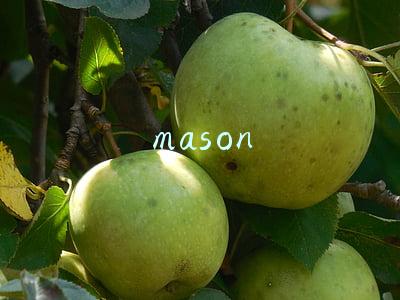mason