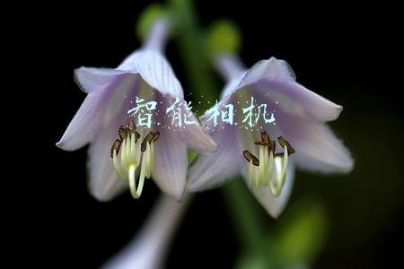 智能相机