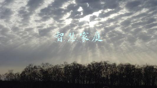 智慧家庭 智慧家庭