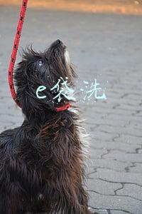 e袋洗