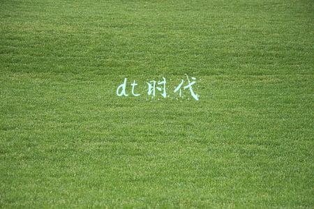dt时代