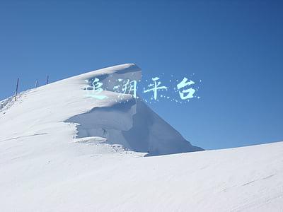 追溯平台