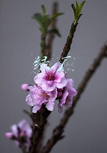 绿厂是什么意思(手机厂商前路何在？从绿厂放出的2000+研发岗位中，我找到了答案)