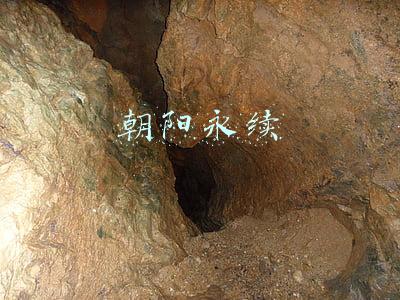 朝阳永续