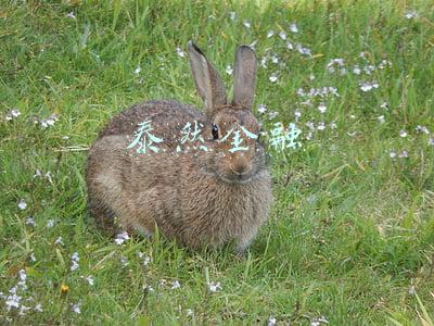 泰然金融最新消息(泰然金融案新进展通报：累计冻结3.27亿元 查封房产154套)