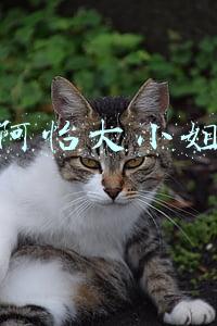 阿怡大小姐