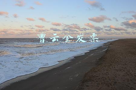 曹云金发票