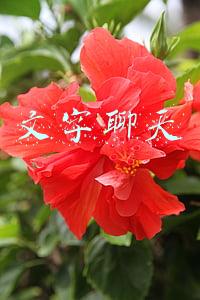 文字聊天