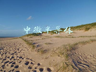 中微半导体