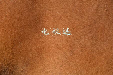 电视迷作文(司马迁杯民歌民谣征文大赛：“电视迷”的苦与乐)