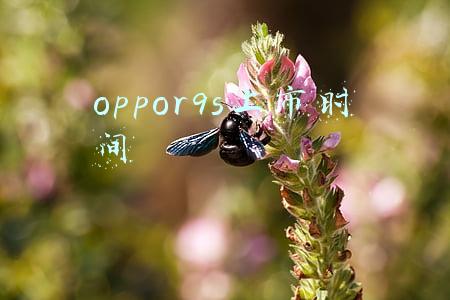 oppor9s上市时间