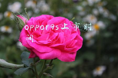 oppor9s上市时间