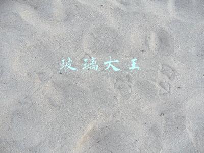 玻璃大王