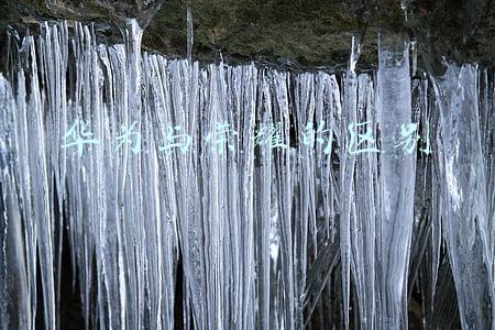 华为与荣耀的区别