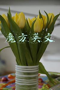 魔方英文 魔方英文