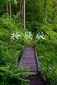 掩膜版中国最厉害公司(清溢光电打造国内领先掩膜版厂商)