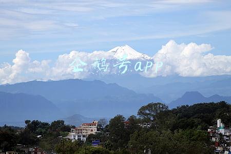 企鹅号app