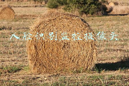 人脸抓拍摄像头(人脸信息不是谁想采集就能采集)