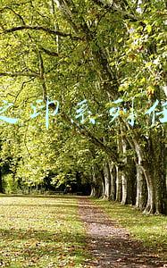 虫之印系列任务