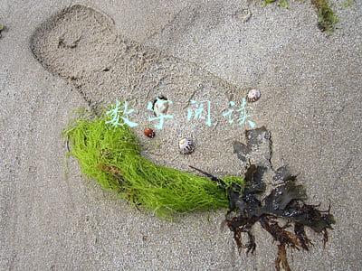 数字阅读行业的发展现状总结(2021年中国数字阅读产业总体规模达415.7亿元)