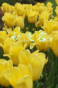 动漫名