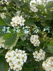 编程猫官方网站