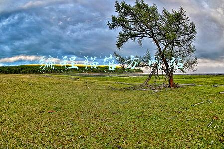 编程猫官方网站