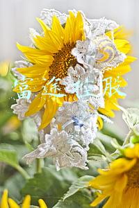 富途控股财报(富途控股2021年Q4及全年财报：全年有资产客户同比增141% 顺利达成全年获客目标)