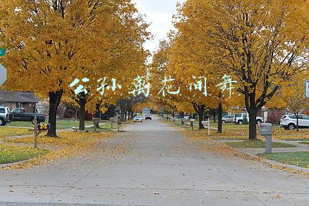 公孙离花间舞