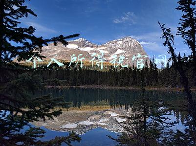 个人所得税官网