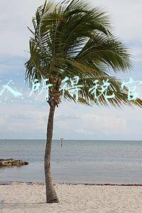 个人所得税官网