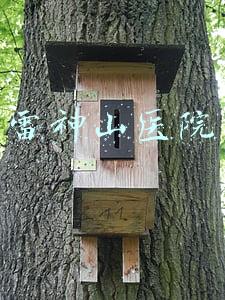 雷神山医院