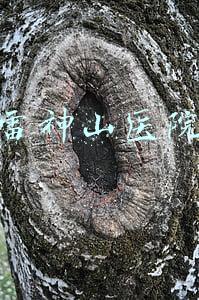 雷神山医院