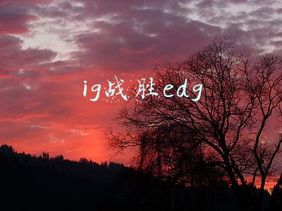 ig战胜edg