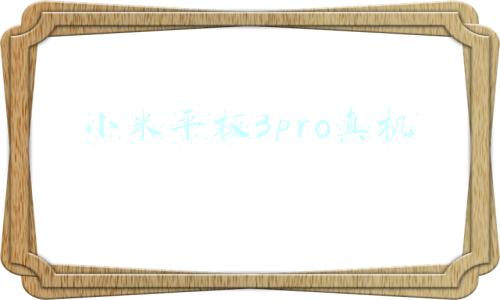 小米平板3pro真机
