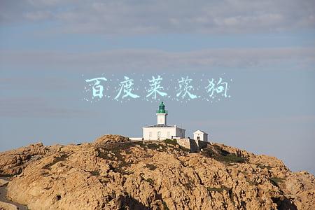 百度莱茨狗