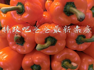 摔跤吧爸爸最新票房