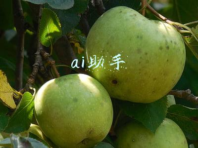 ai助手