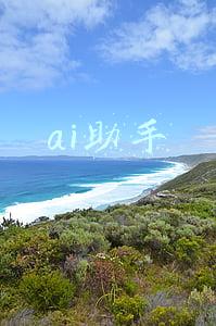 ai助手
