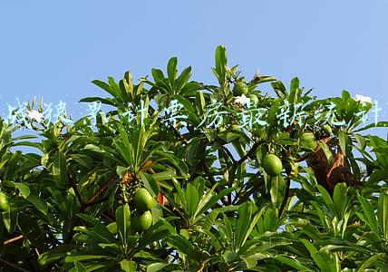 战狼累计票房最新统计 战狼累计票房最新统计